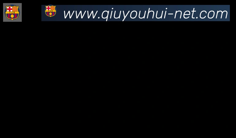 球友会体育合作伙伴
